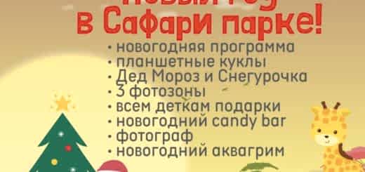 Новый год в Сафари парке !