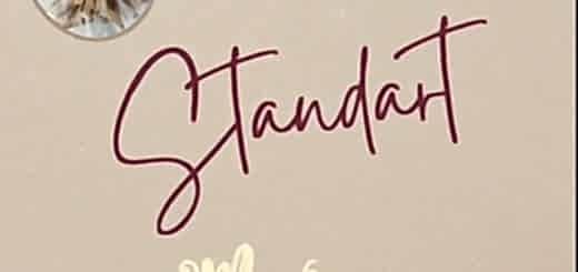 Пакет Стандарт