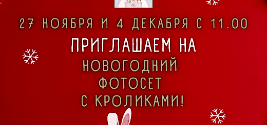 Novogodnij-fotoset-s-krolikami