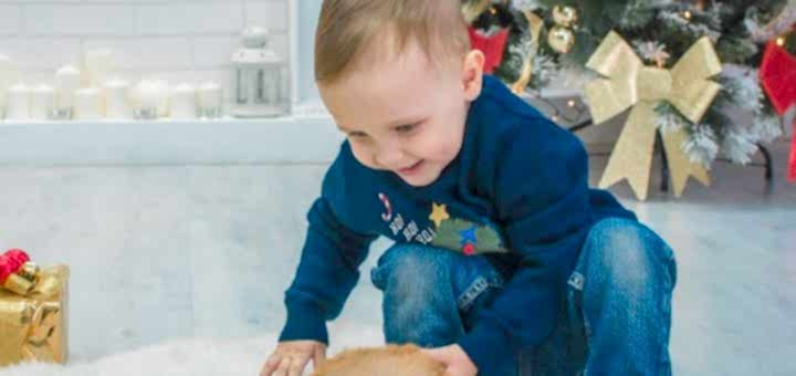 Студия детских праздников "Город друзей"