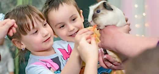 Аниматор с животными