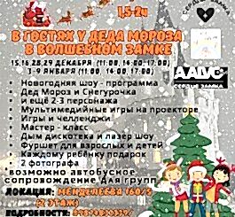 В гостях у деда мороза в волшебном замке