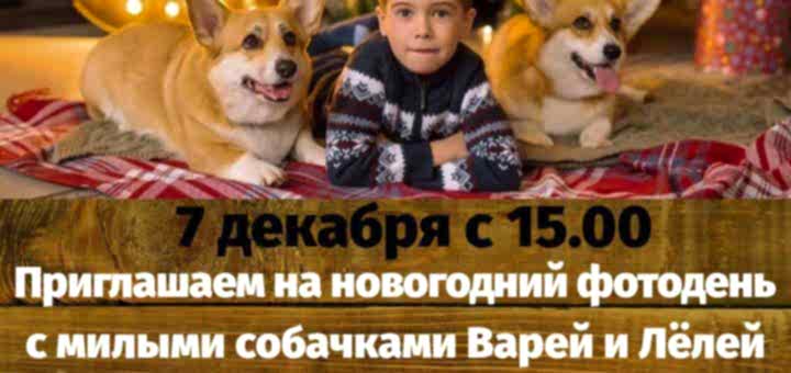 Повторный фото день с собачками Варей и Леёлей