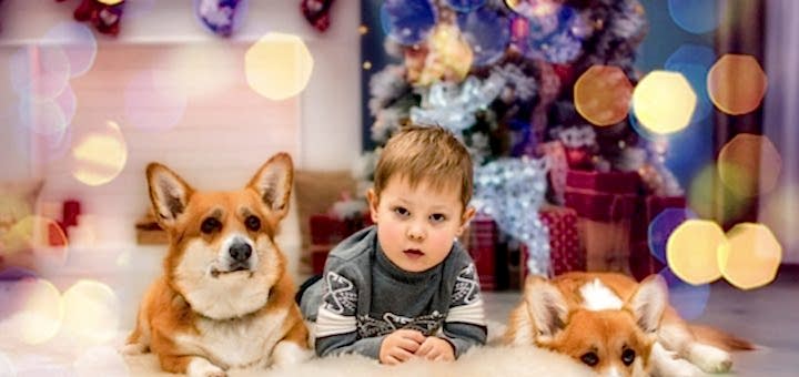 Новогодний чек - лист для ребенка