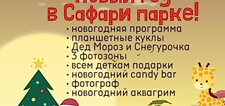 Новый год в Сафари парке !