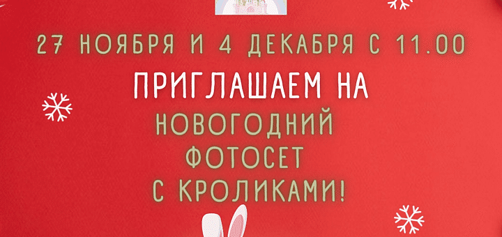Novogodnij-fotoset-s-krolikami
