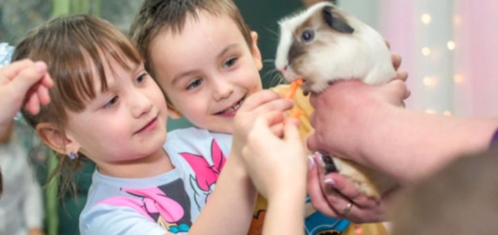 Аниматор с животными