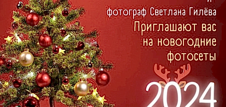 Новогодний фотосет 2024