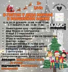 В гостях у деда мороза в волшебном замке